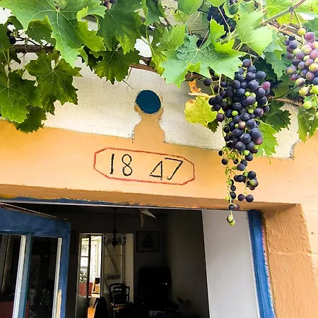 Le Jardin Des Muses Prázdninový dům Jard-sur-Mer